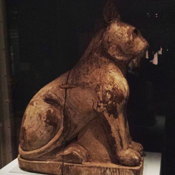 15276600_1236588209722017_293198308988420096_n