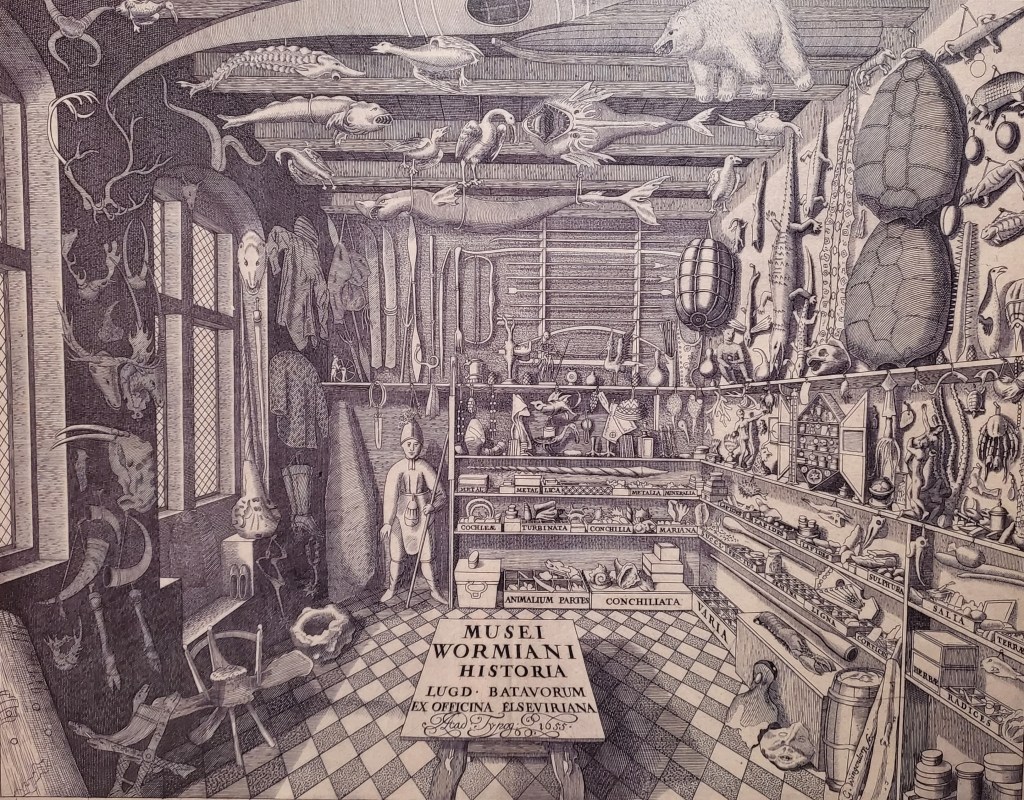 Engraving of Ole Worm's museum showing a variety of objects entirely filling the walls and shelves of a tiled room.