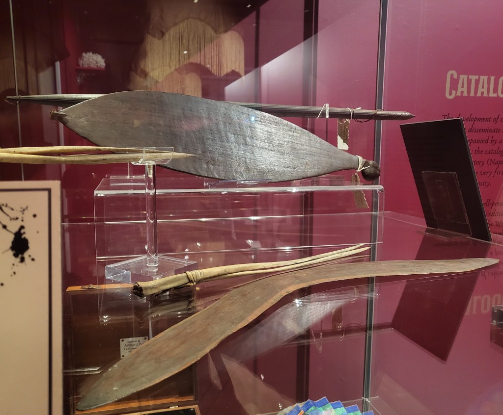 Wooden boomerang, large throwing club and throwstick in a glass case. 