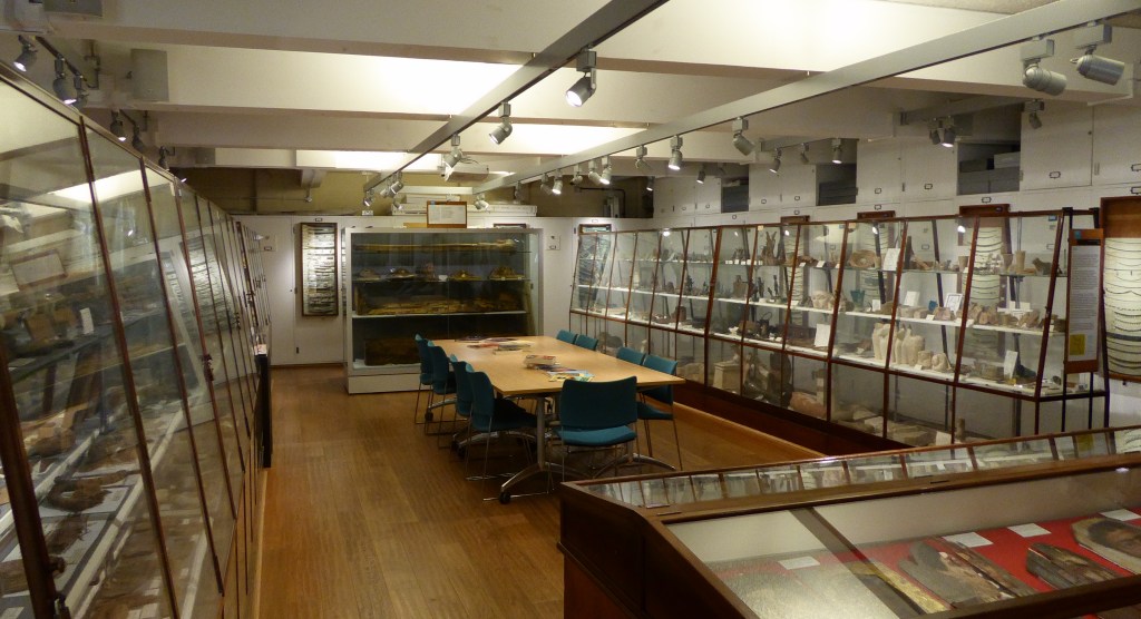 A small room containing full display cases of Egyptian artefacts with a table and additional display cases in the centre
