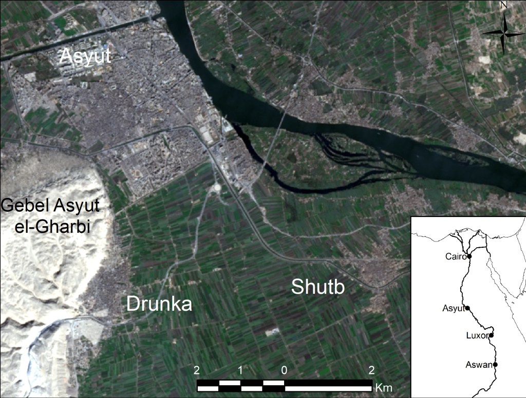 Pan-sharpened true colour Landsat-8 satellite image of the Asyut region in Middle Egypt.