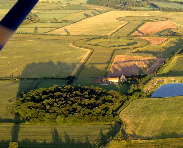Aerial photo of three henge monuments joined by two linear strips. The nearest henge is covered with trees. The ditch and back of the grassed over further two are clearly visible. 